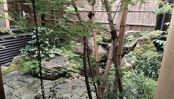 小児歯科・小児矯正